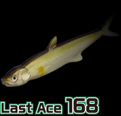lure_09_la168.jpg
