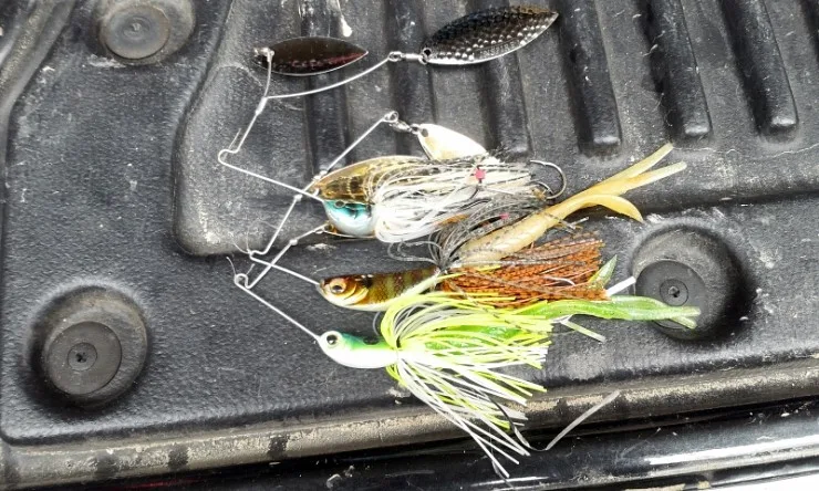 20140708_0823015.jpg