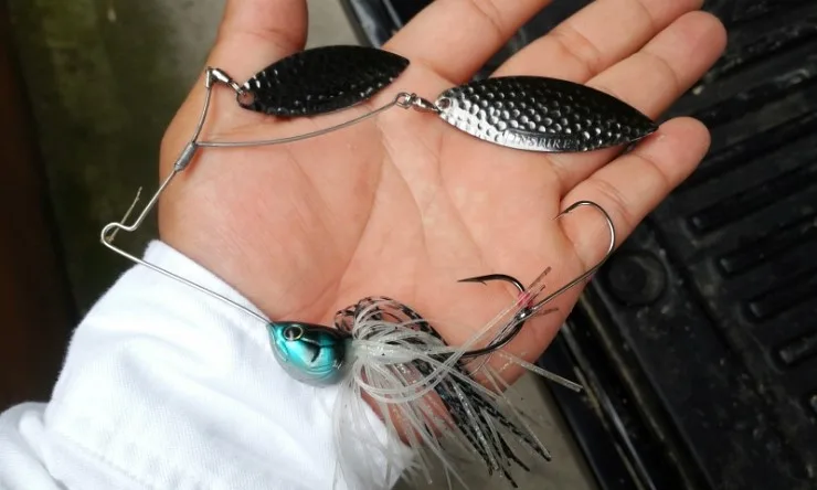 20140708_0822101.jpg