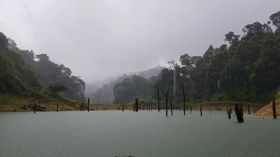 KakaoTalk_20190116_141230678_05.jpg
