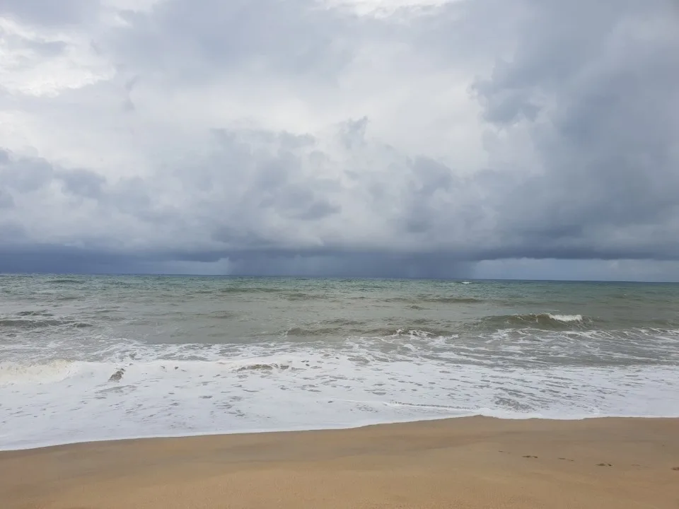 KakaoTalk_20190122_091959772.jpg