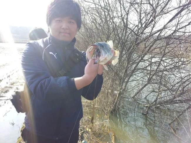 2012-04-06_08_39_23.jpg