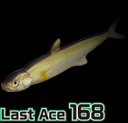 lure_09_la168.jpg
