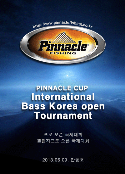 PINNACLE0609.gif